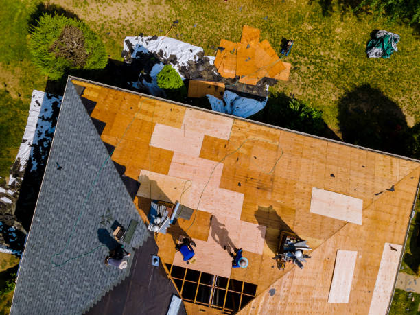 Best Storm Damage Roof Repair  in Piedmont, SD